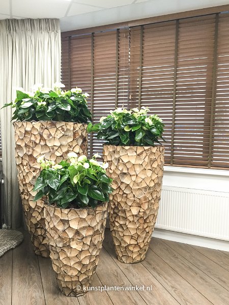mekelenkamp plantenman project feramed groep coco-3256